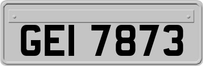 GEI7873
