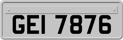 GEI7876
