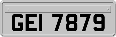 GEI7879