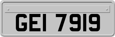 GEI7919