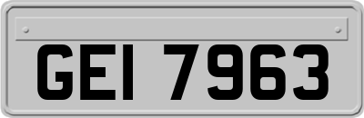 GEI7963