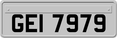 GEI7979