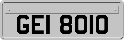 GEI8010