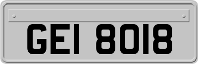 GEI8018