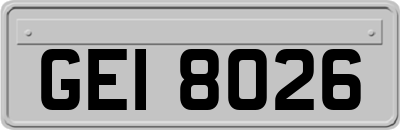 GEI8026