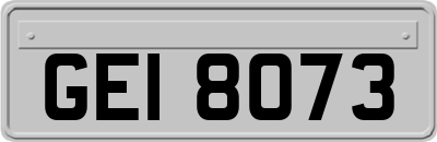 GEI8073