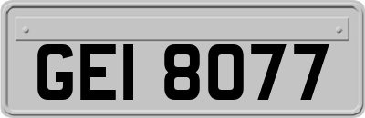 GEI8077