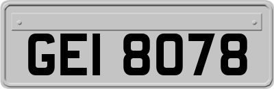 GEI8078