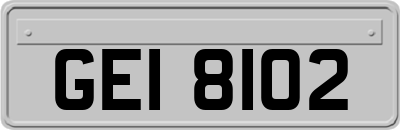 GEI8102