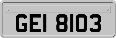 GEI8103