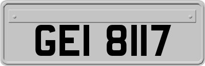 GEI8117
