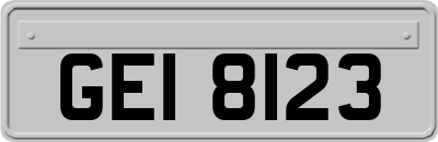 GEI8123