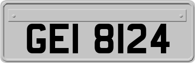 GEI8124
