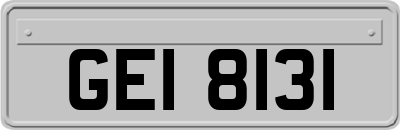 GEI8131