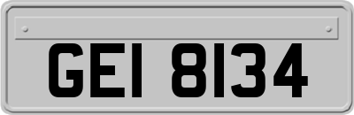 GEI8134