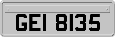 GEI8135