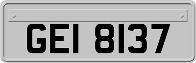 GEI8137