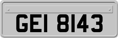 GEI8143