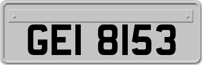 GEI8153