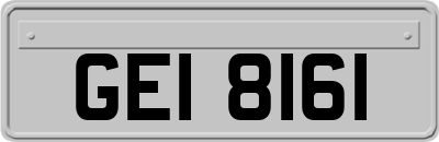 GEI8161