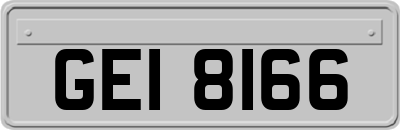 GEI8166