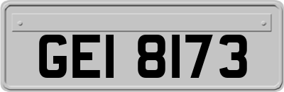 GEI8173