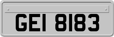GEI8183