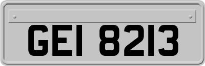 GEI8213