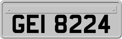 GEI8224