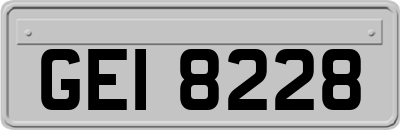 GEI8228