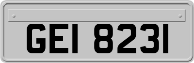 GEI8231