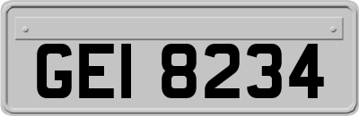 GEI8234