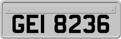 GEI8236