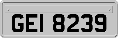 GEI8239