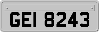 GEI8243