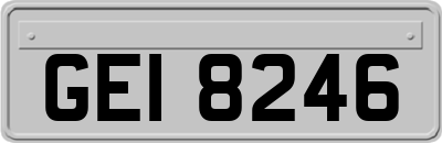 GEI8246