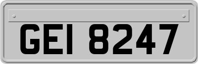 GEI8247