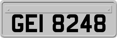 GEI8248