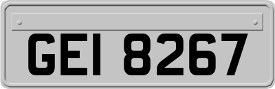 GEI8267