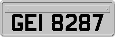 GEI8287