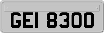 GEI8300