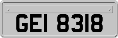 GEI8318