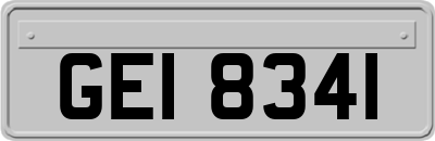 GEI8341
