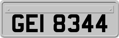 GEI8344