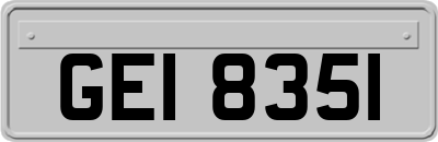 GEI8351
