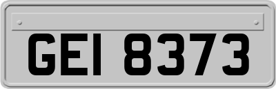 GEI8373