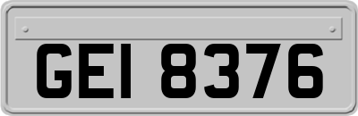 GEI8376