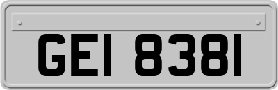GEI8381