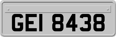 GEI8438