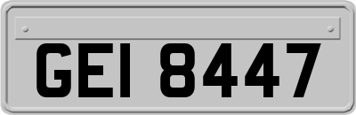 GEI8447